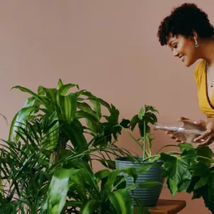 Woman Watering Plants Healthy Home