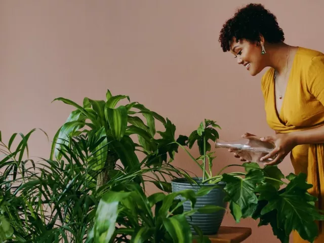 Woman Watering Plants Healthy Home