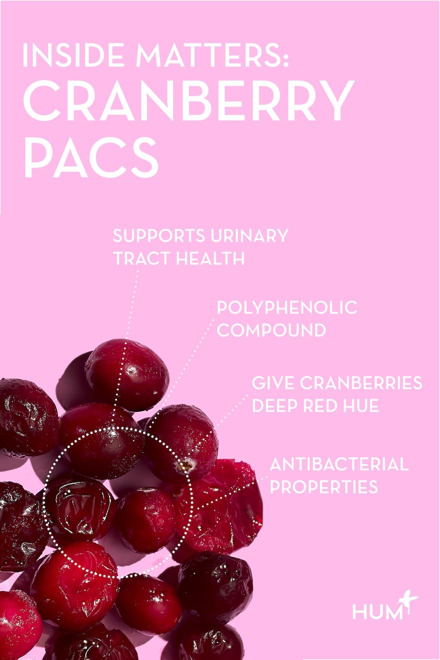 cranberry and urinary tract health infographic