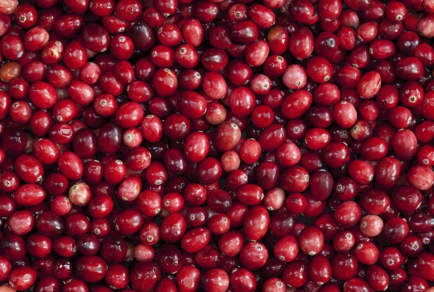 cranberry urinary tract health whole cranberries