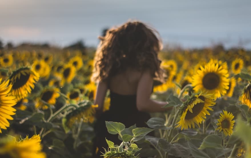 best supplements for spring sunflowers