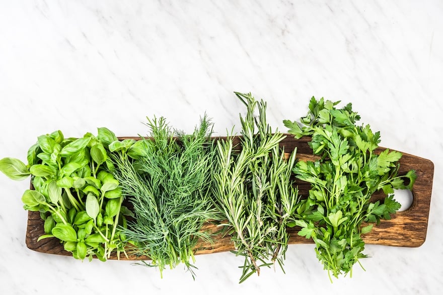 how to grow herbs for beginners