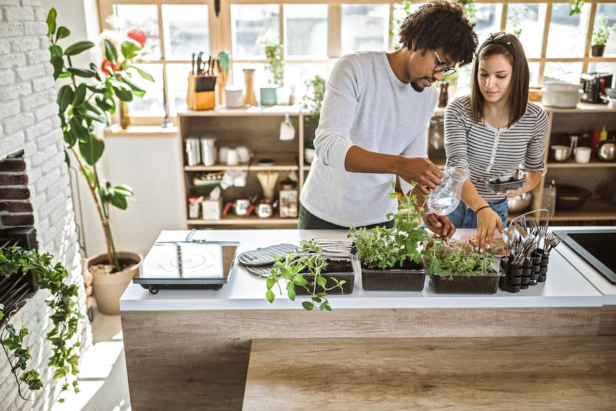 how to grow herbs indoors