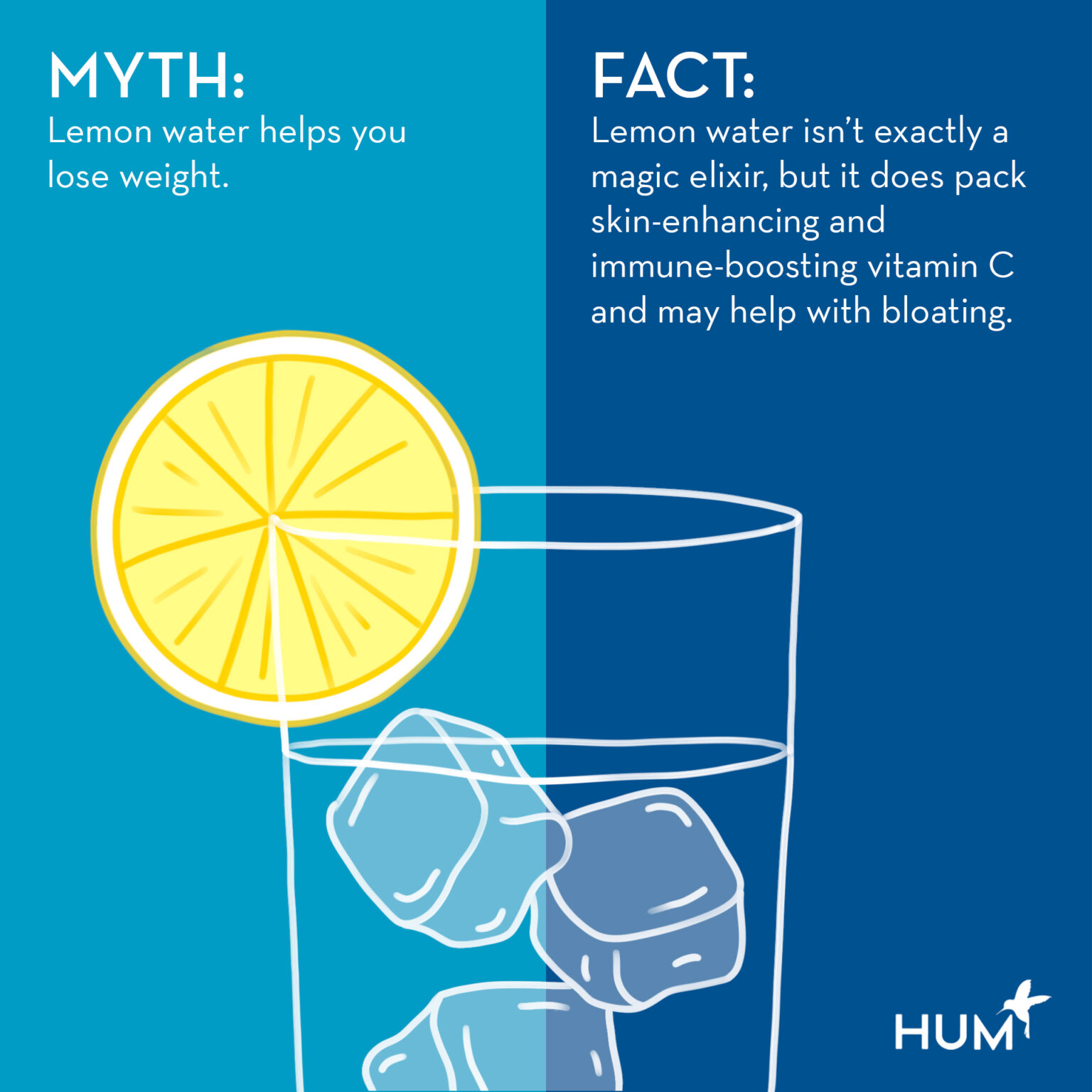 Does Lemon Water Help You Lose Weight? Experts FactCheck Lemon Water