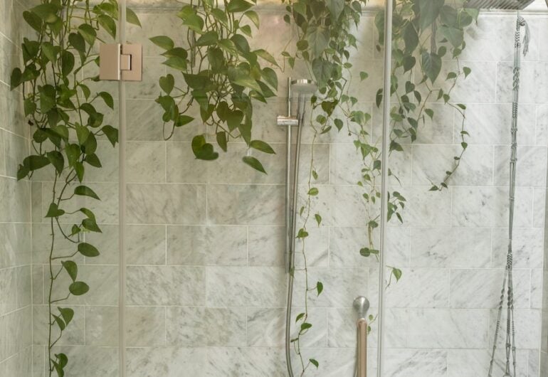 Cold Water Therapy Benefits And How it Works HUM Nutrition Blog