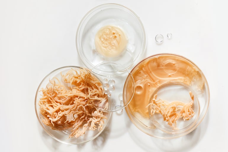 Sea moss skincare