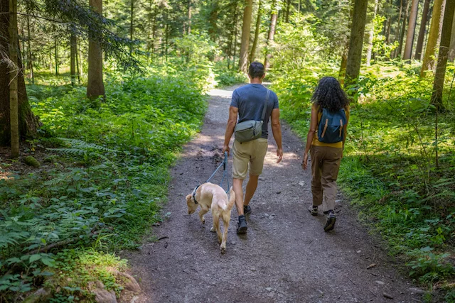 Couple walking their dog on a hike to benefit from nature and promote mental well-being