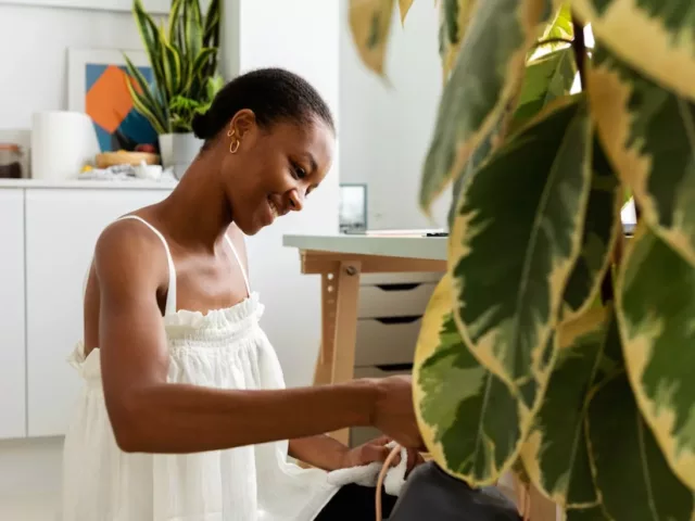 Woman spring cleaning her house plants to benefit mental health