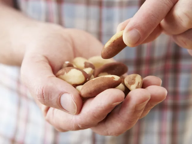 Handful of Brazil nuts, which are the best source of selenium