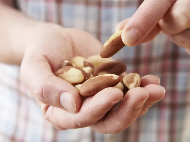 Handful of Brazil nuts, which are the best source of selenium