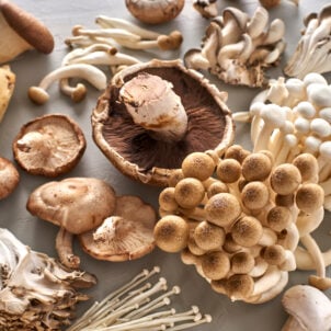 medicinal mushrooms