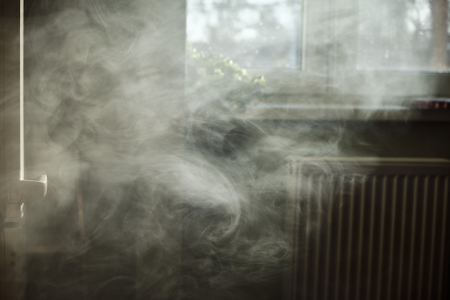 Xenobiotics air pollution
