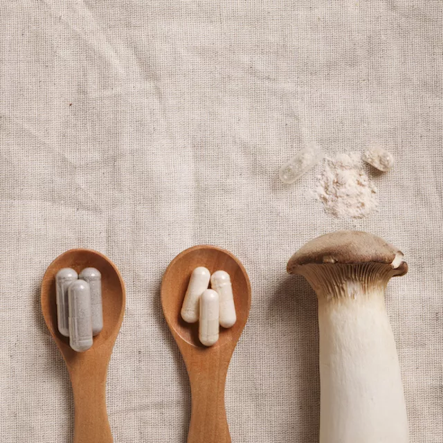 medicinal mushrooms, fungi