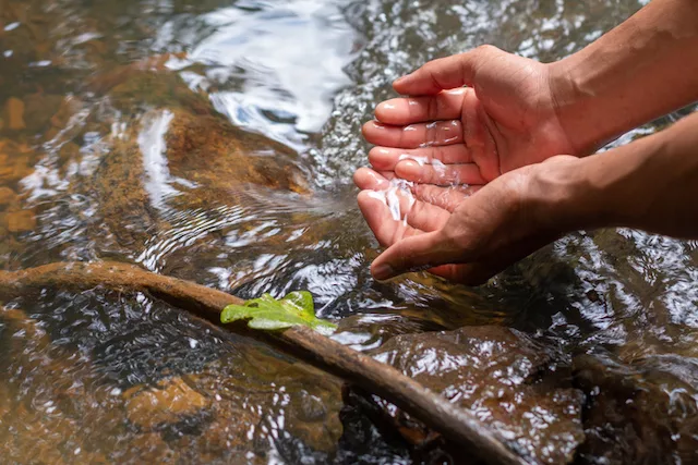 Fresh Water Filtered Tap Water