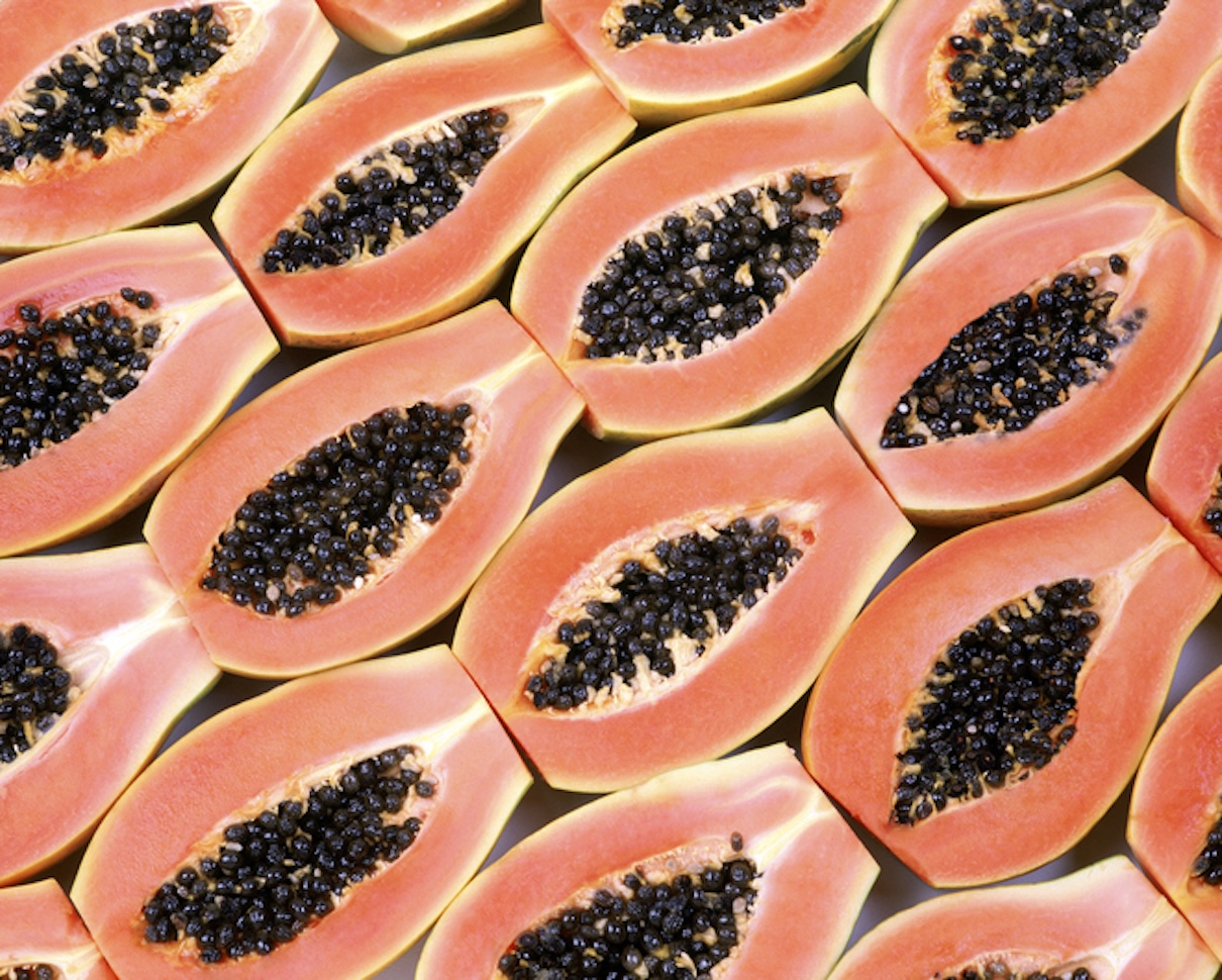 Is Papain the Digestive Lifeline You Need? Is Papain the Digestive Lifeline You Need?