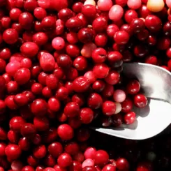 Urinary tract health supplement