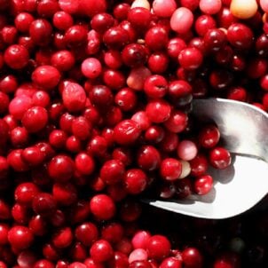 Urinary tract health supplement