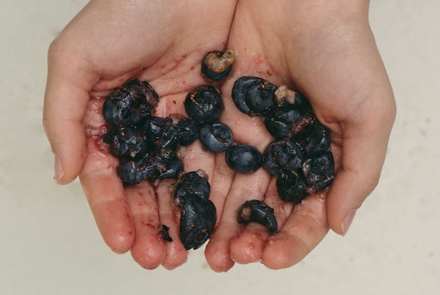balanced diet for gut health and skin