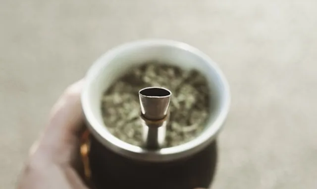 yerba mate benefits 