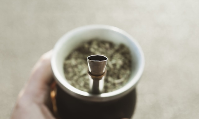 yerba mate benefits 
