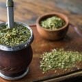yerba mate benefits