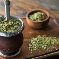 yerba mate benefits