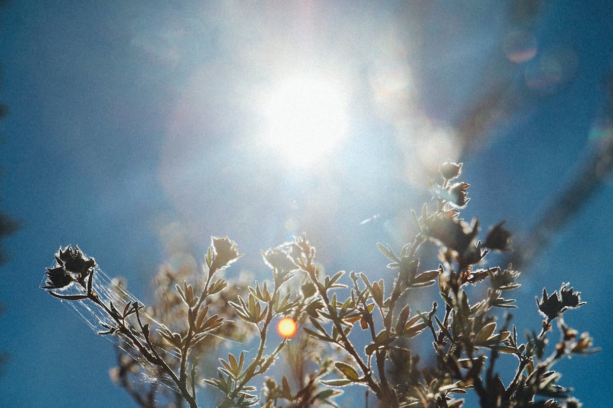 How To Build a Bloat-Free Morning Routine