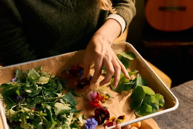 fall snacks