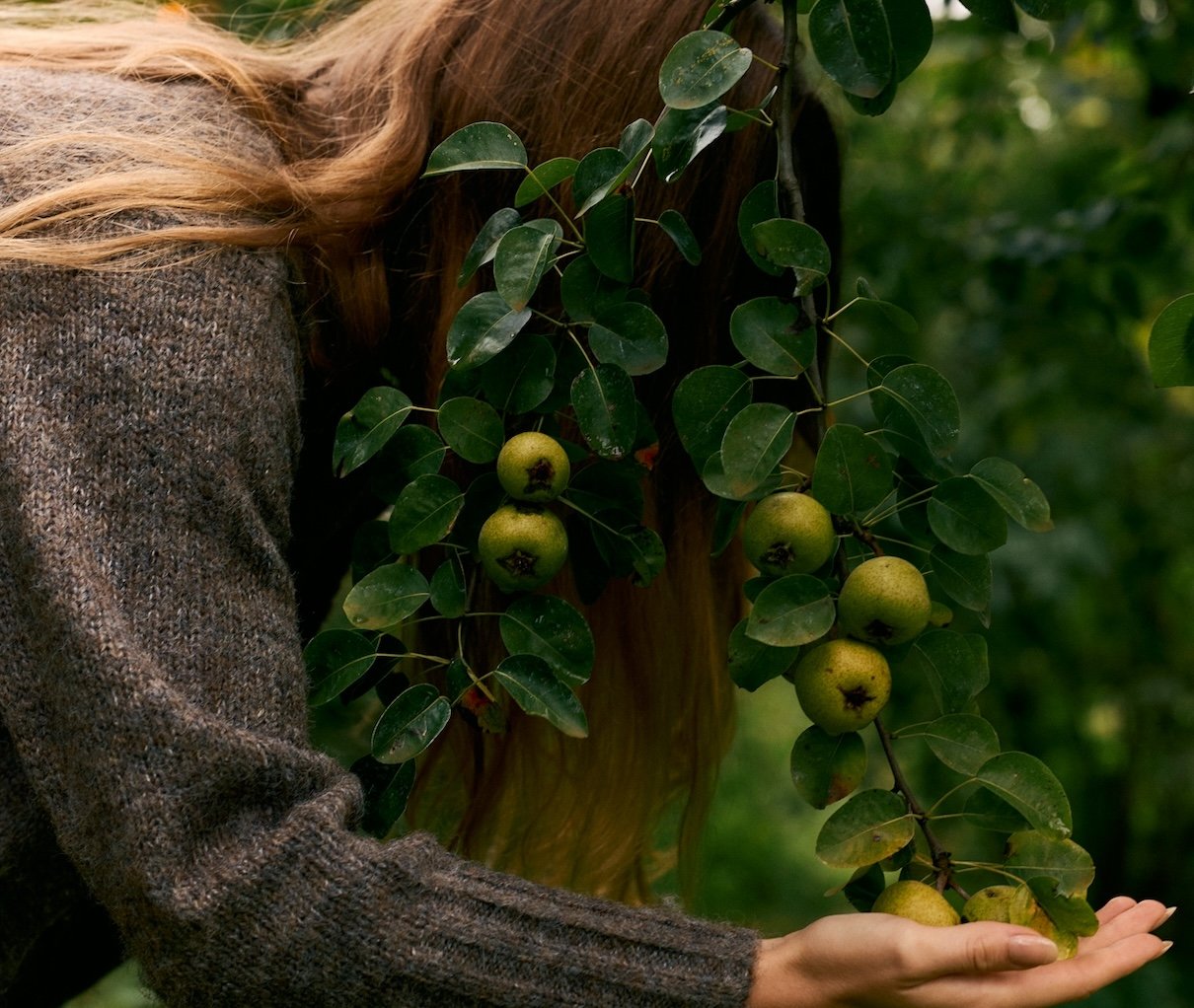Fall Snacks for Better Energy Fall Snacks for Better Energy