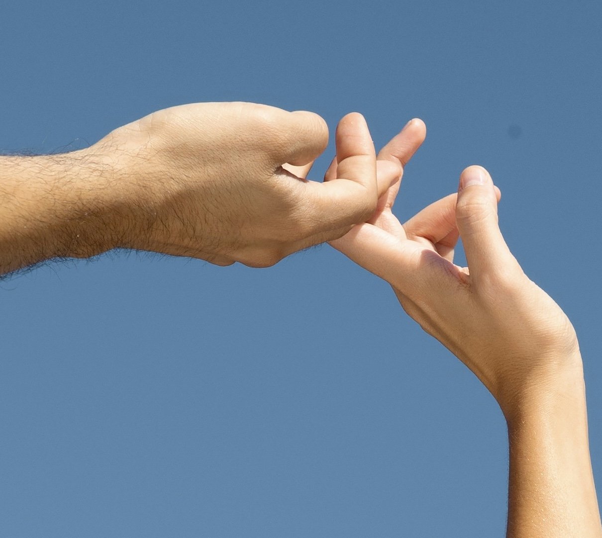 Are Berberine and Fiber the Ultimate GLP-1 Powerhouse Pairing?