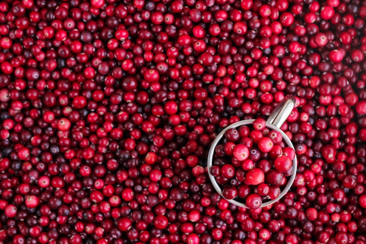 TikTok’s Viral Cranberry Recips for Winter TikTok’s Viral Cranberry Recips for Winter