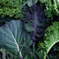 Does magnesium help with weight loss