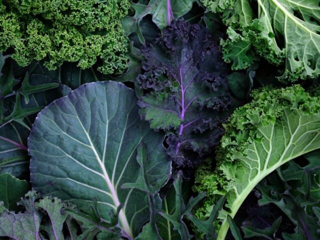 Does magnesium help with weight loss