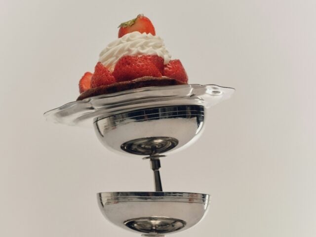 berberine or metformin