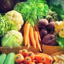 what is the dash diet