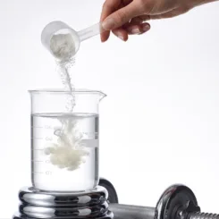 creatine for health