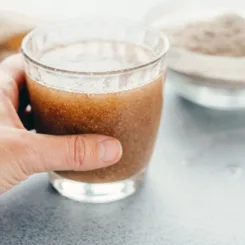 what is psyllium husk