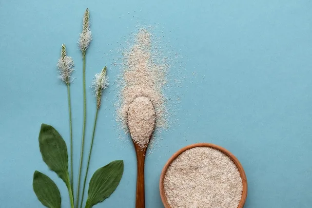 what is psyllium husk