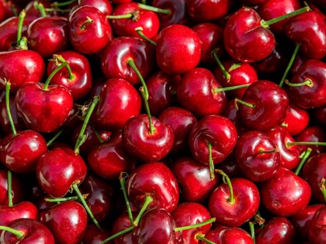 what is tart cherry juice good for