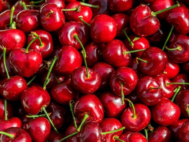 what is tart cherry juice good for